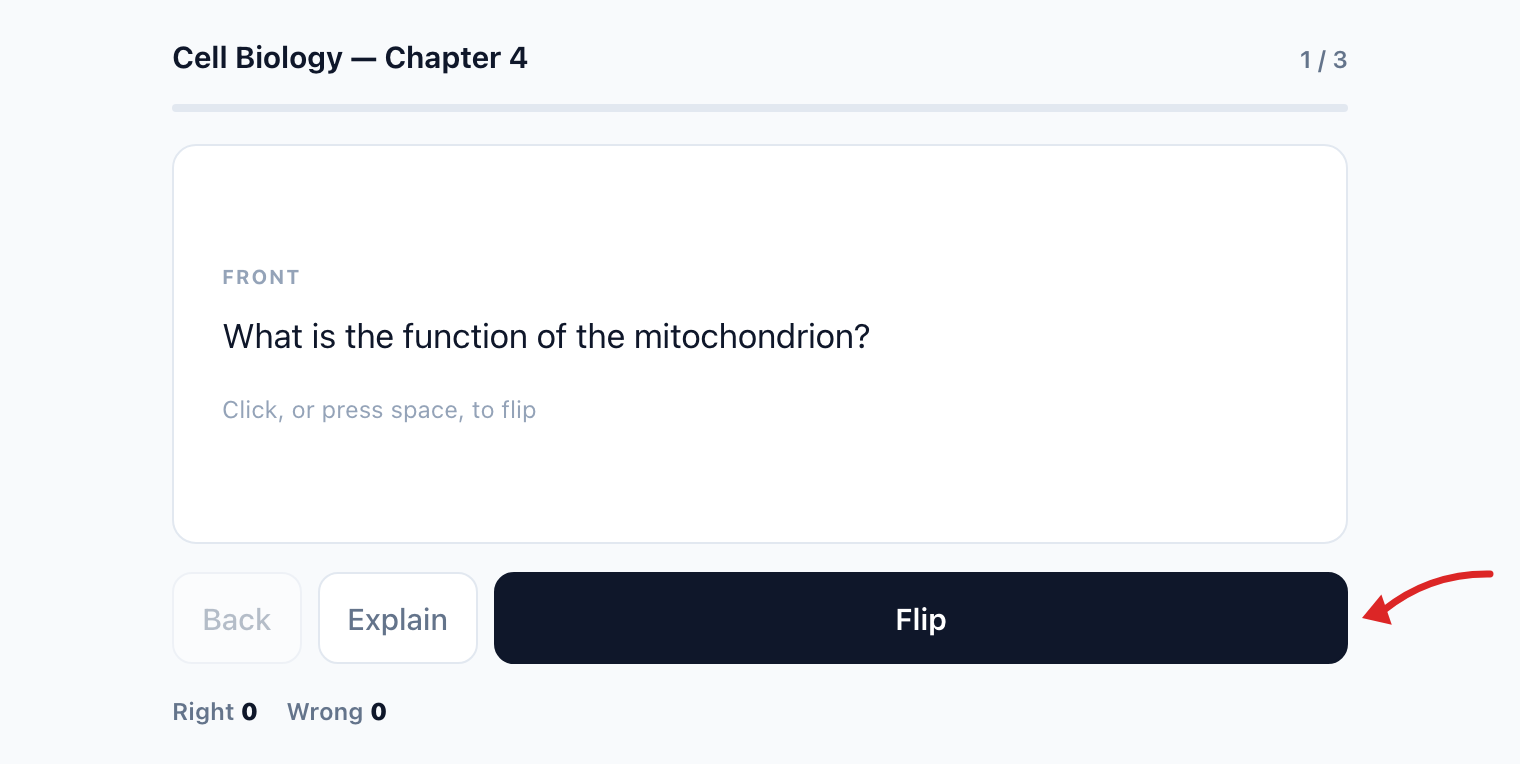 Flashcard panel in the chat